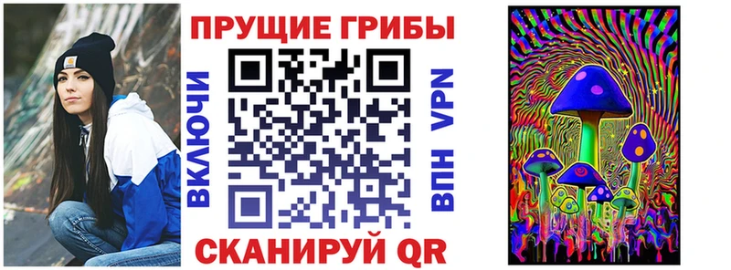 blacksprut ссылки  Полевской  Галлюциногенные грибы Psilocybine cubensis 